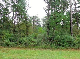 31133 Reids Prairie Rd, Waller, TX 77484