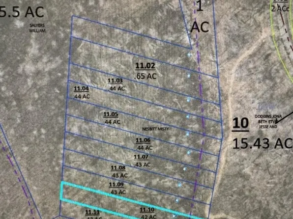0 McCauleys Bluff Rd, Holladay, TN 38341