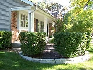 View of private front porch, bushes turn red in fall