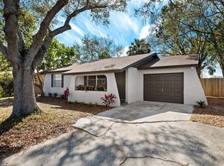 10108 Hunters Point Ct, Tampa, FL 33615