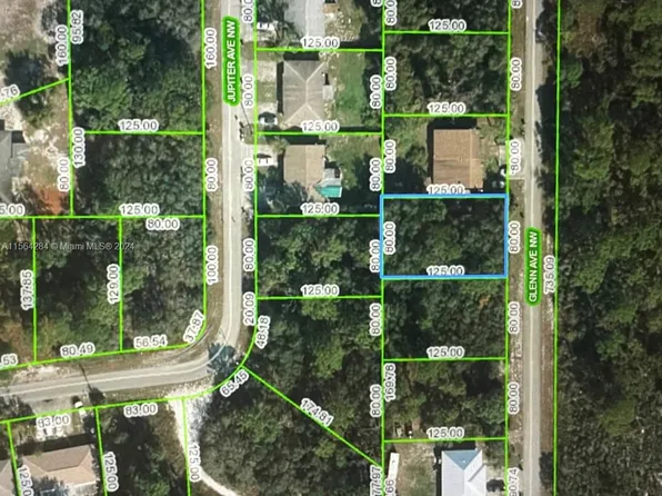 117 Glenn Ave NW, Lake Placid, FL 33852