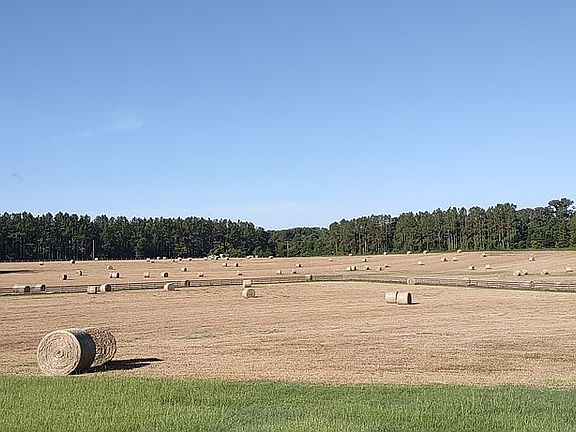 Hay Field