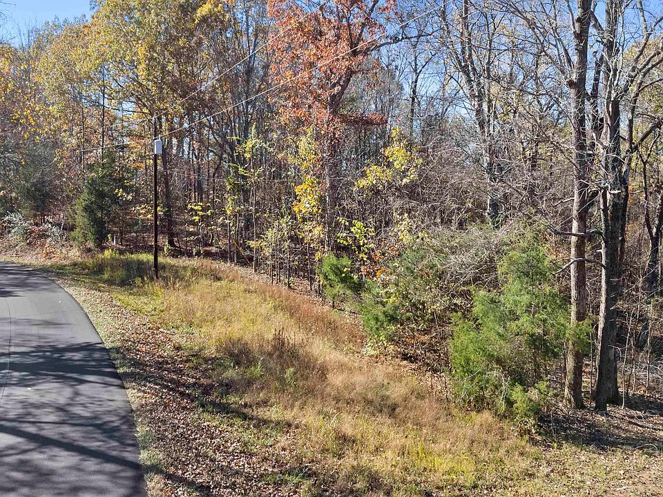 2nd image of 0 Canton Blue Springs Rd