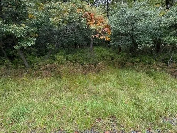 4219 Scenic Dr, Albrightsville, PA 18210