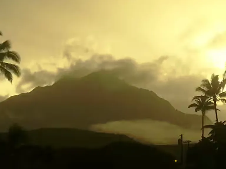 More amazing views from Living room windows after an evening mist.