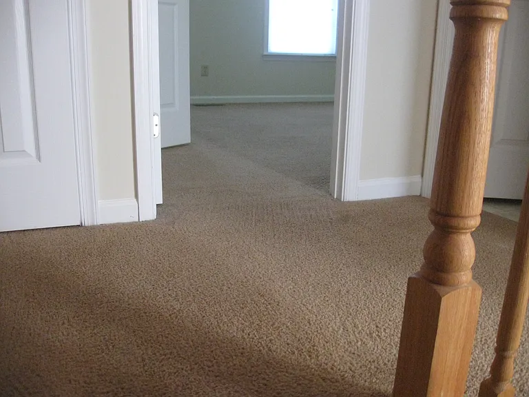 356 Bailey Run Ln — Photo 10
