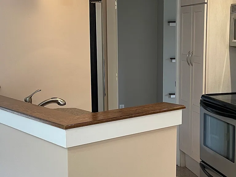 168 Mount Hope Ave #2 — Photo 4