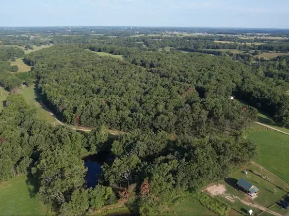 0 Finley Falls Road, Seymour, MO 65746