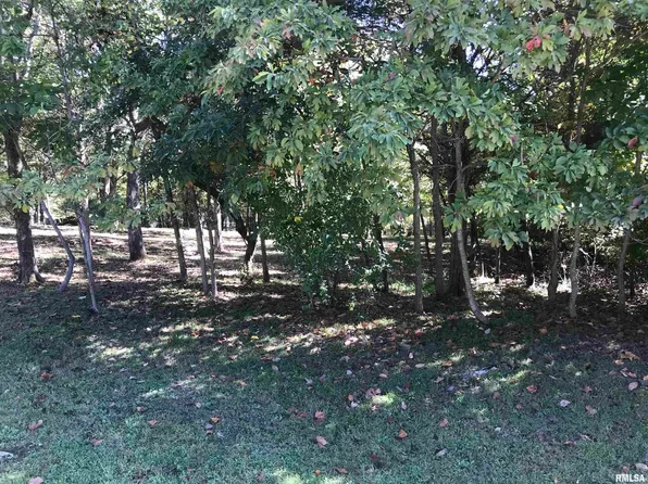 LOT 1031 John Able Dr, Goreville, IL 62939