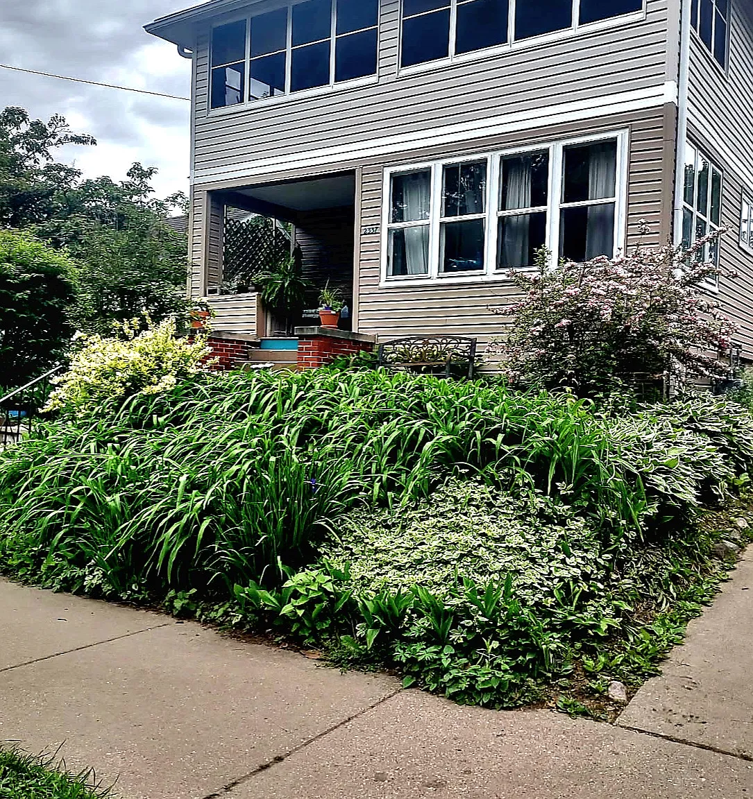 1 bed, 1200 sqft, $1,500 — Photo 1