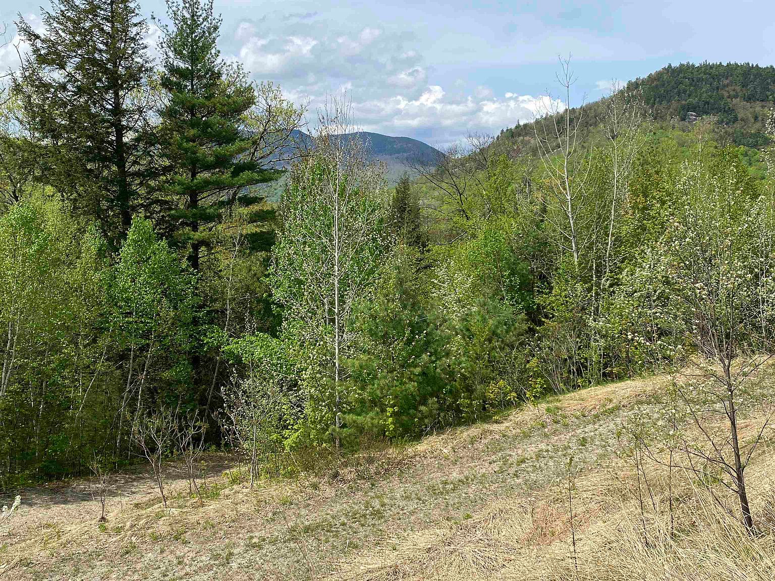 125 Parker Ridge Road, Harts Location, NH 03812 MLS 4996469 Zillow
