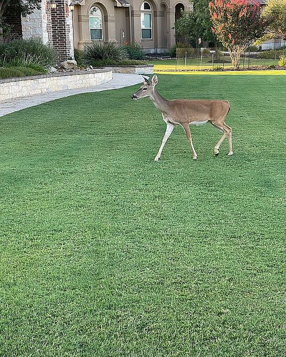 2nd image of 26147 Park Bend Dr