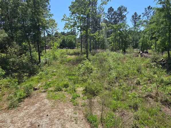 7898 Hawthorne Ln, Plantersville, TX 77363