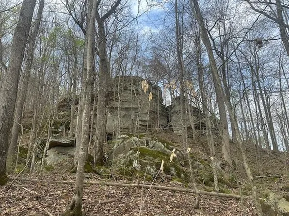 LOT 84 Buckeye Ln, Wilder, TN 38589