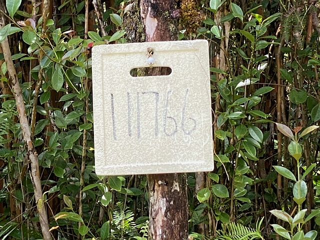 2nd image of 11-1766 Mahina St #20