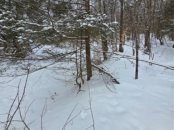 5th image of Mormon Hollow Rd Lot 21