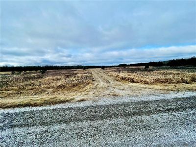 +/- 20 ACRES HAMM Drive, Owen, WI, 54460