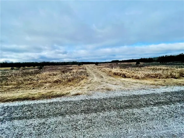 +/- 20 ACRES HAMM Drive, Owen, WI 54460