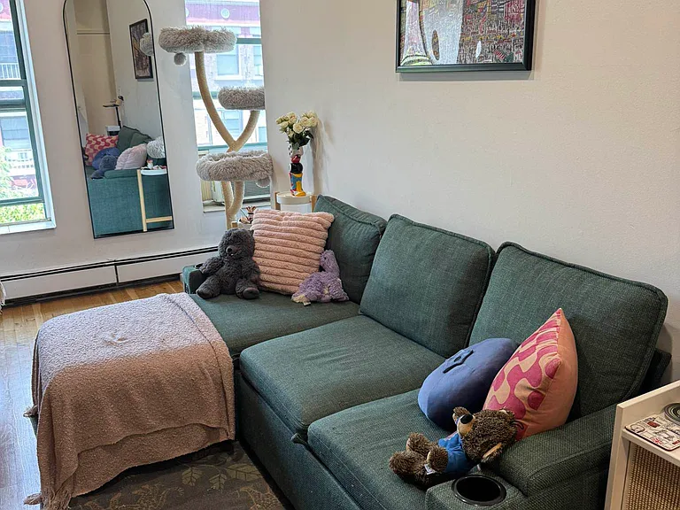 58 Loisaida Ave #5A — Photo 8