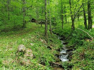 1030 Jones Creek Rd, Bryson City, NC 28713