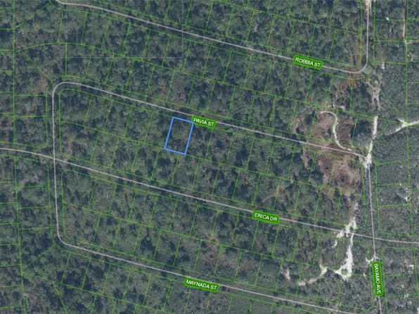 8655 Pavia St Lot 20, Sebring, FL 33872