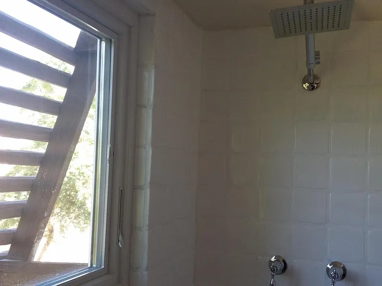 shower room and rain shower head