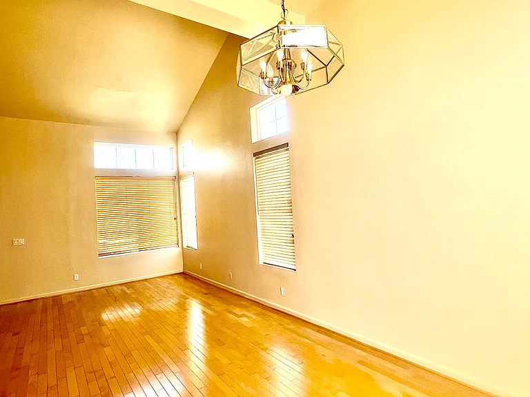 901 Hillock Ct — Photo 10