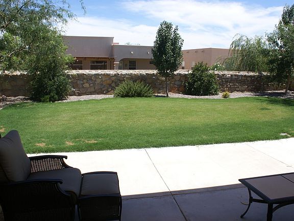 Back yard