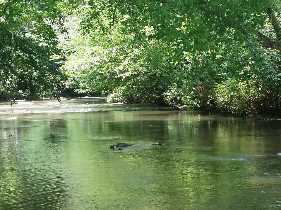 Brasstown Creek