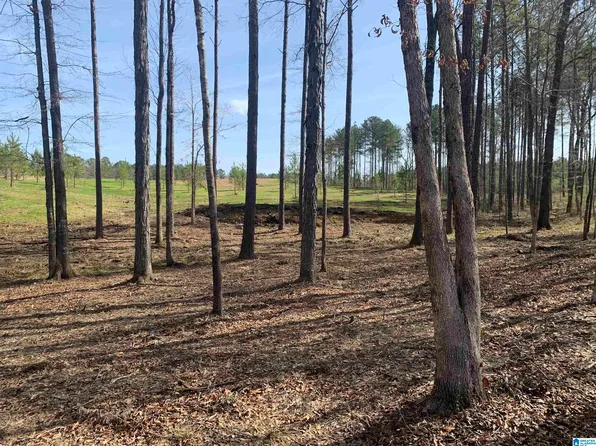 245 Rocky Ridge Rd #7, Columbiana, AL 35051
