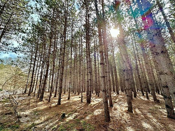 3rd image of TBD 20 Acres 630th Street