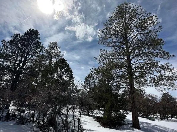 1325 Marmot Drive, Ridgway, CO 81432