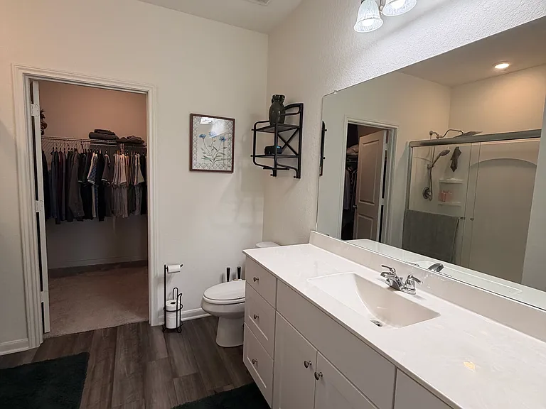 Master Bathroom and Walk in closet