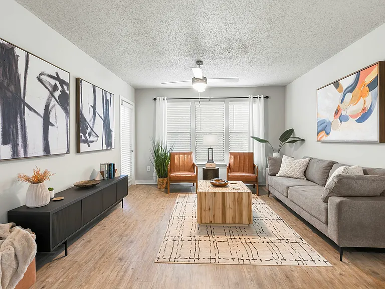 Large Living Room with Natural Lighting