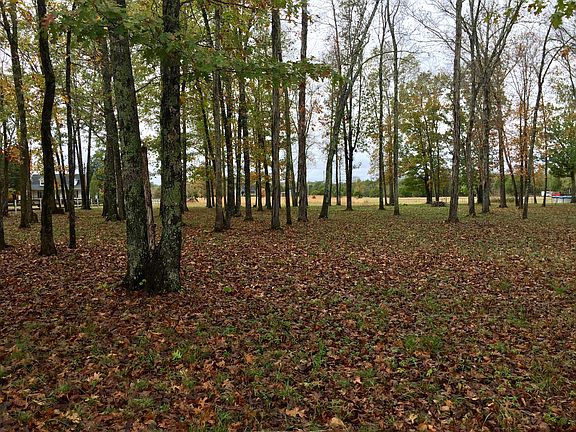 Treed Front w/4 ac Pasture