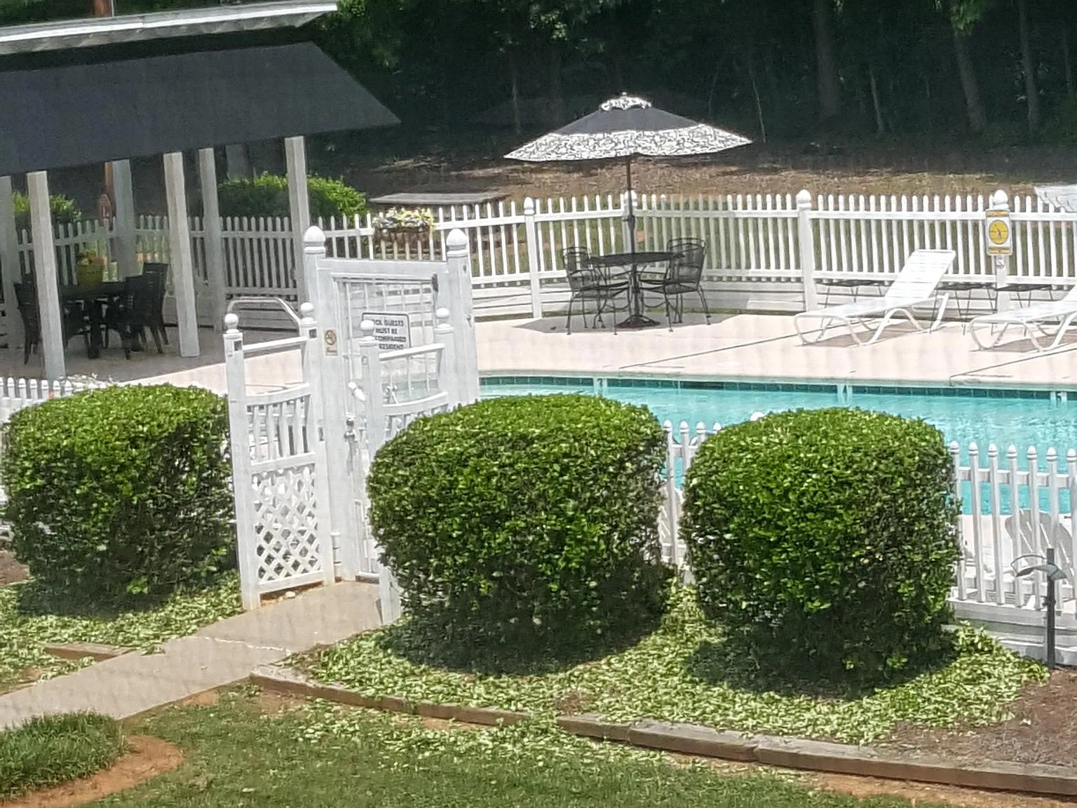 1 bed, 700 sqft, $995 — Photo 2