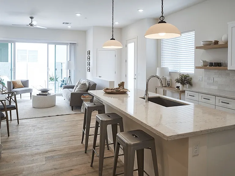 Sleek Kitchens
