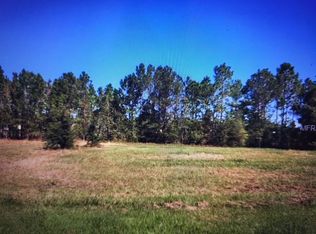 419 Long And Winding Rd, Howey In The Hills, FL 34737