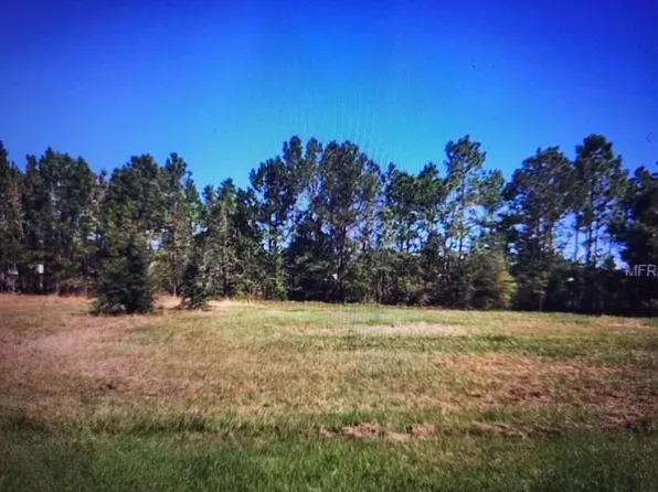 419 Long And Winding Rd, Howey In The Hills, FL 34737