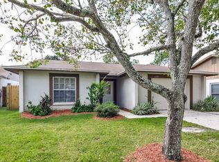 1737 Lakeview Village Dr, Brandon, FL 33510