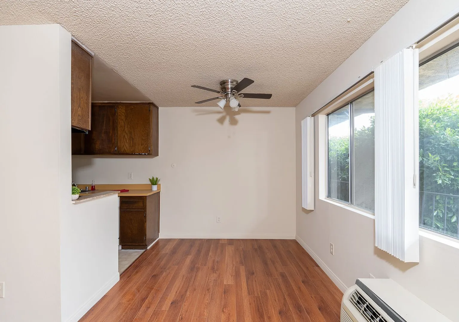 1007Lomi — Photo 3