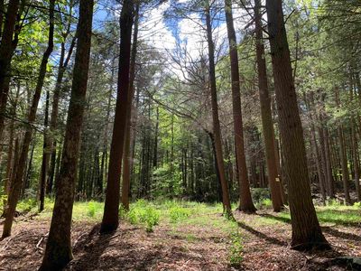 19 Shag Bark Hill, Putney, VT, 05346