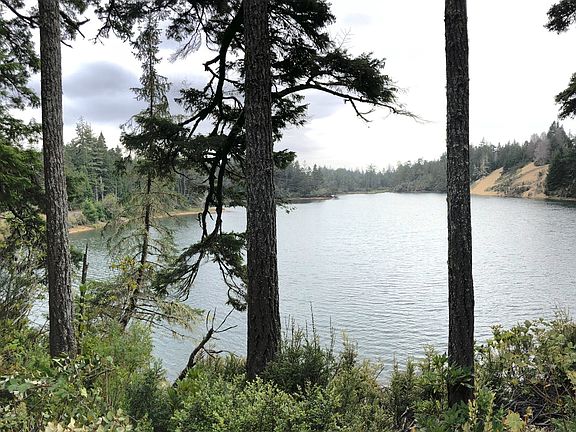 5th image of 70298 Hwy 101