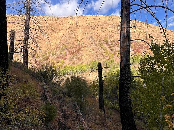 17th image of 270 Greenhorn Gulch Rd