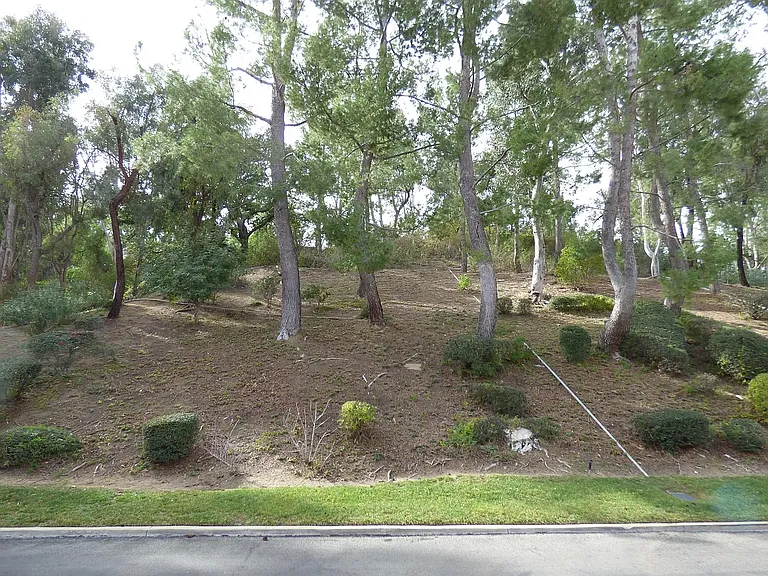 1310 Albariza Pl #3 — Photo 19