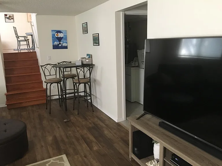 Basement Level Family Room