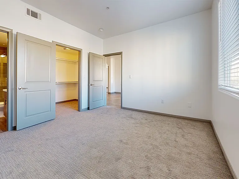 Spacious apartment bedroom with large closet and plush carpet flooring.