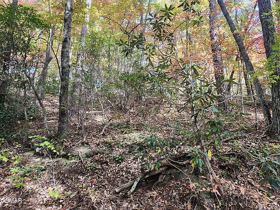 3rd image of LOT 11 Bluff Mountain Rd #11