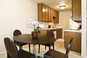 Dining-Kitchen Area