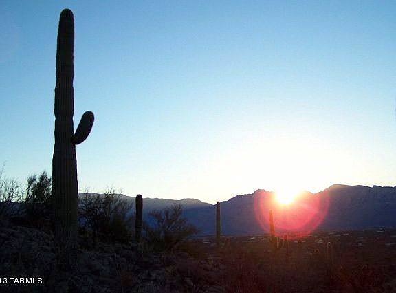 4th image of 14215 S Gecko Canyon Trl #0